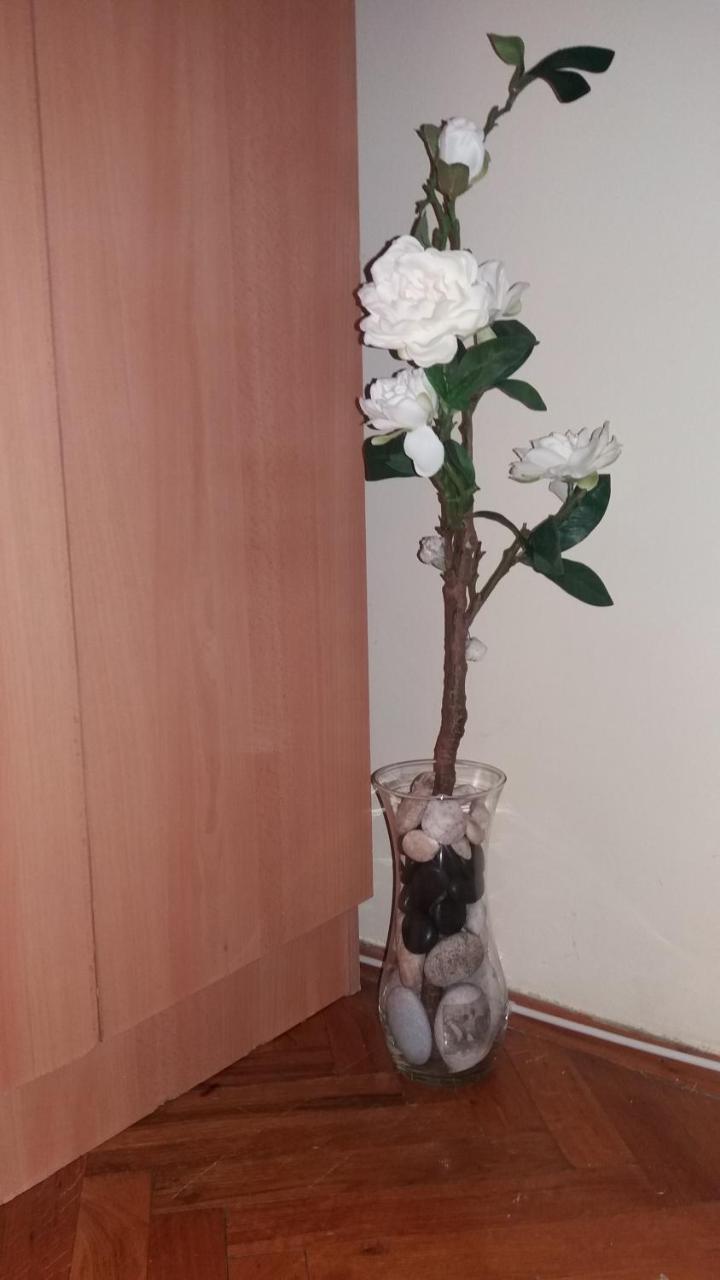 Sweet Home Center Apartment نوفي ساد المظهر الخارجي الصورة