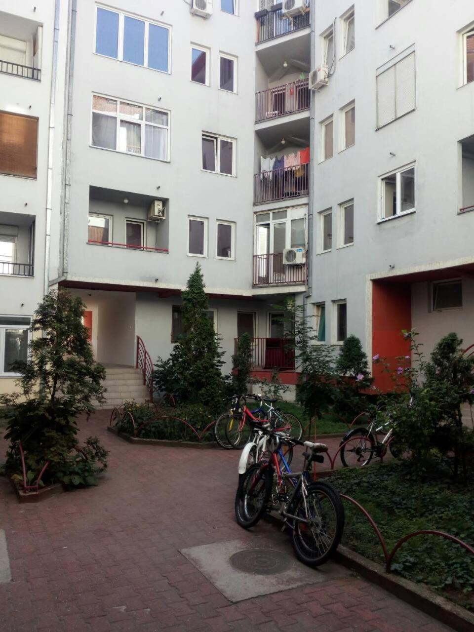 Sweet Home Center Apartment نوفي ساد المظهر الخارجي الصورة